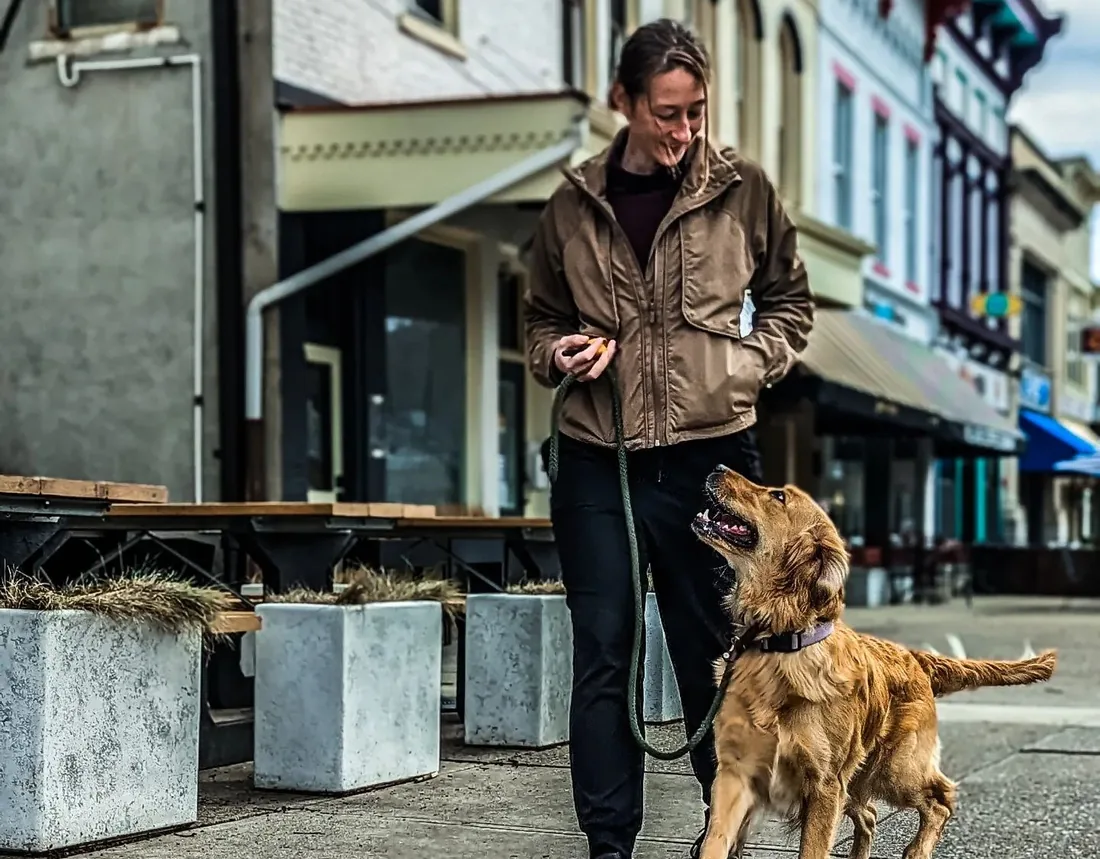 An owner walking a golden retriever on a loose leash down a busy downtown sidewalk